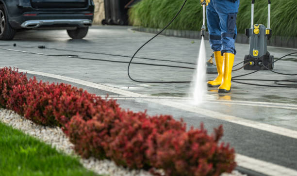 Best Roof Cleaning and Mildew Removal in Adairsville, GA